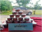 ส่งเสริมและประชาสัมพันธ์อาชีพแกงไตปลาคั่วกลิ้งของกลุ่มอาชีพ